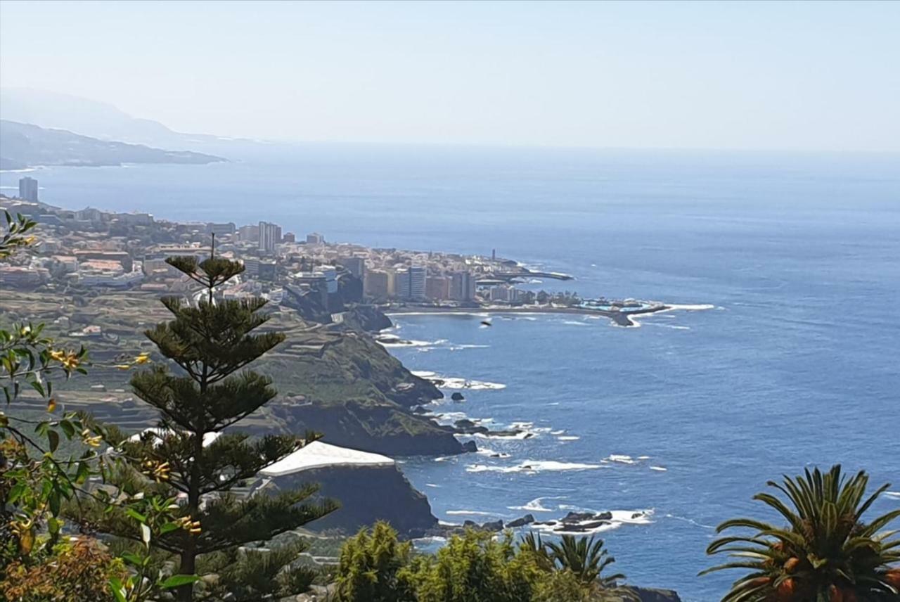 Estudio Brillante, Confortable Y Agradable Puerto de la Cruz  Exterior photo