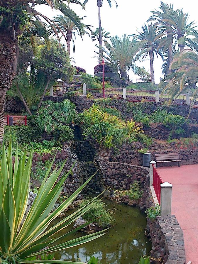 Estudio Brillante, Confortable Y Agradable Puerto de la Cruz  Exterior photo
