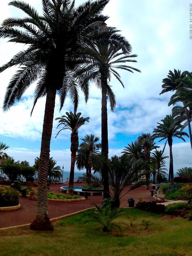 Estudio Brillante, Confortable Y Agradable Puerto de la Cruz  Exterior photo